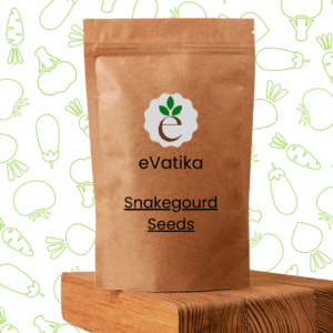 Snakegourd Seeds